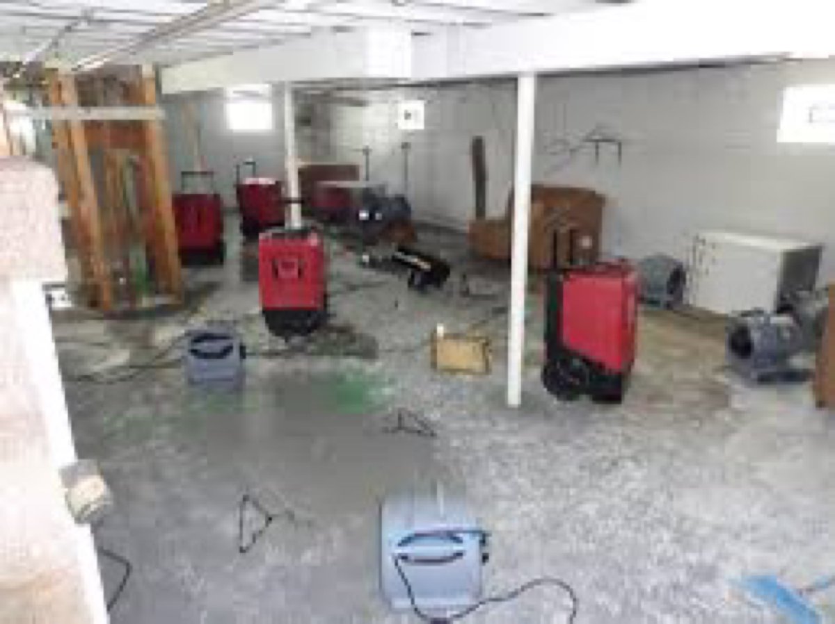 Many dehumidifiers and air movers drying a concrete slab floor – 77 Rapid Restore